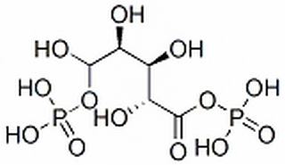 碳水化合物類