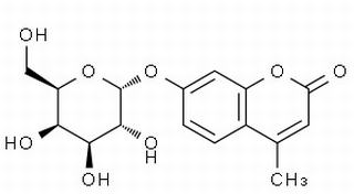 碳水化合物類(lèi)