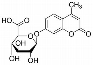 碳水化合物類(lèi)