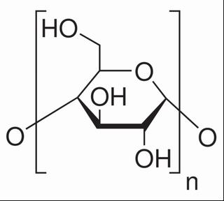 碳水化合物類