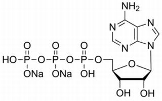 植物激素及核酸類(lèi)