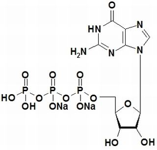 植物激素及核酸類(lèi)