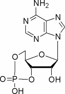 植物激素及核酸類(lèi)